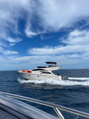 Foto del barco Rodman Muse 44 2009