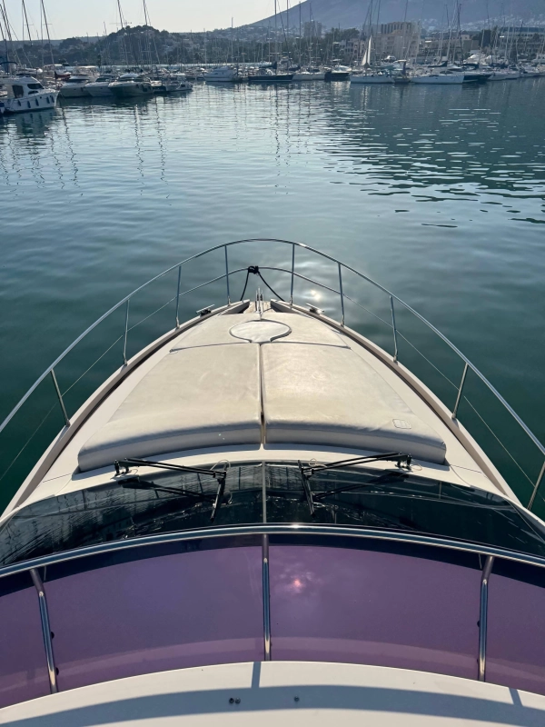 Rodman Muse 44 2009