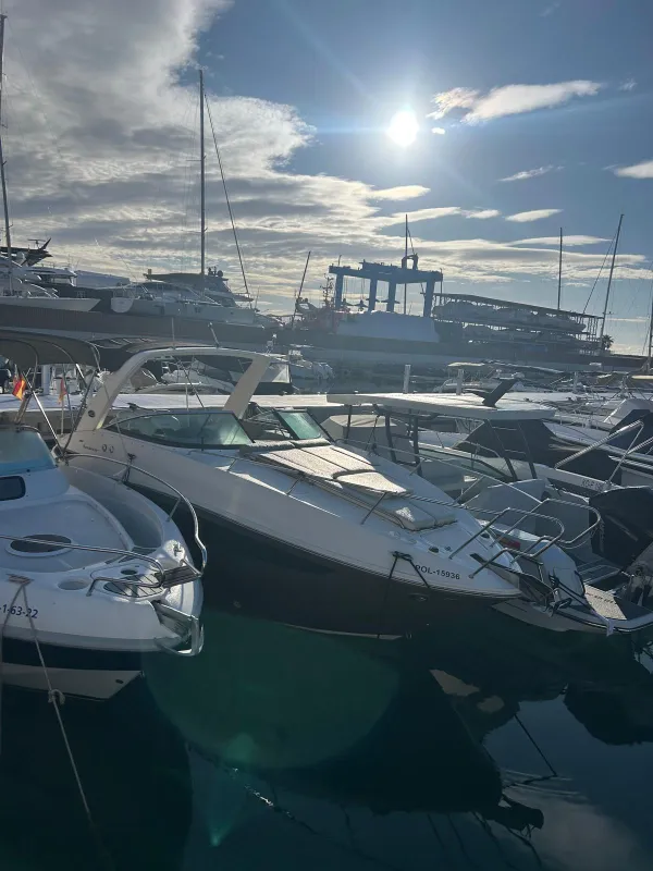 Sea Ray Sundancer 265 2015