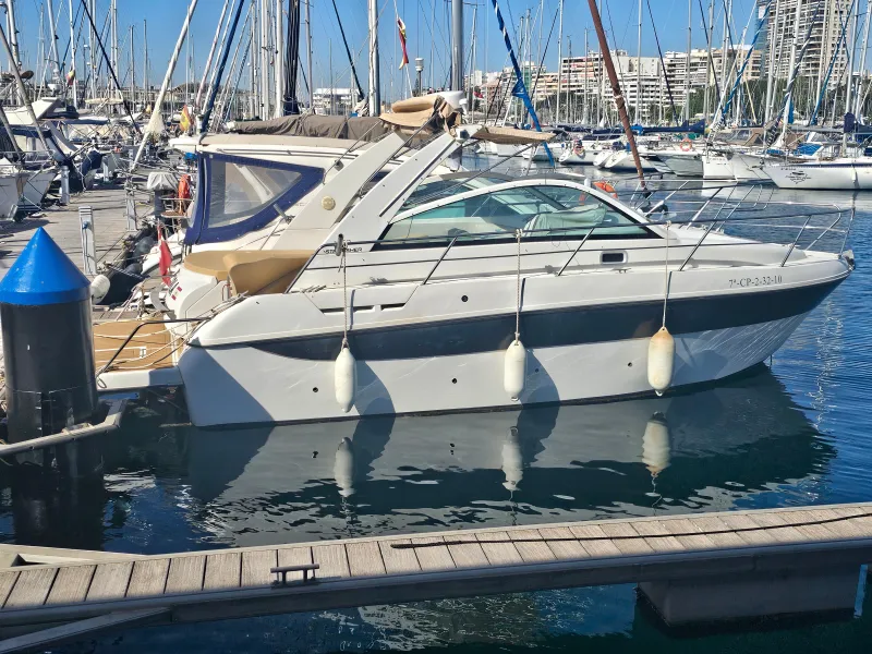 Starfisher 290 2010