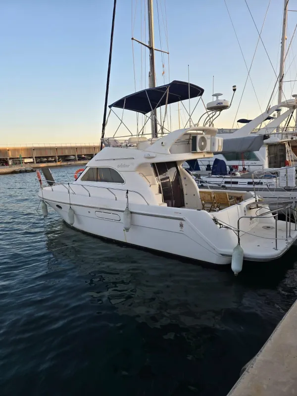 Astinor 12 2006