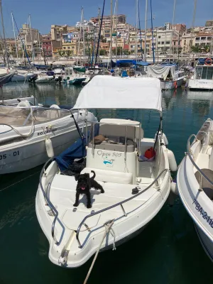 Foto del barco Playamar open 505 2009