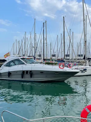 Foto del barco Sea Ray 515 2007