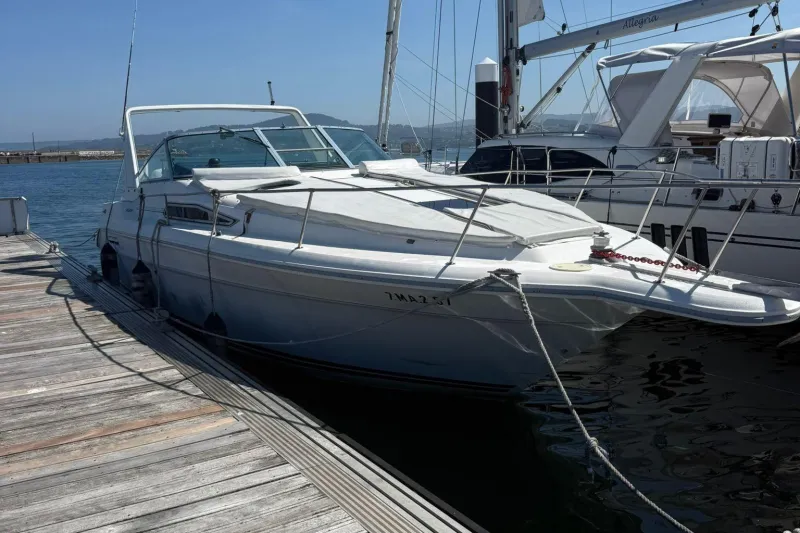 Sea Ray Sundancer 310 1991