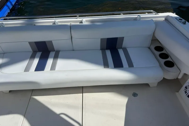 Sea Ray Sundancer 310 1991