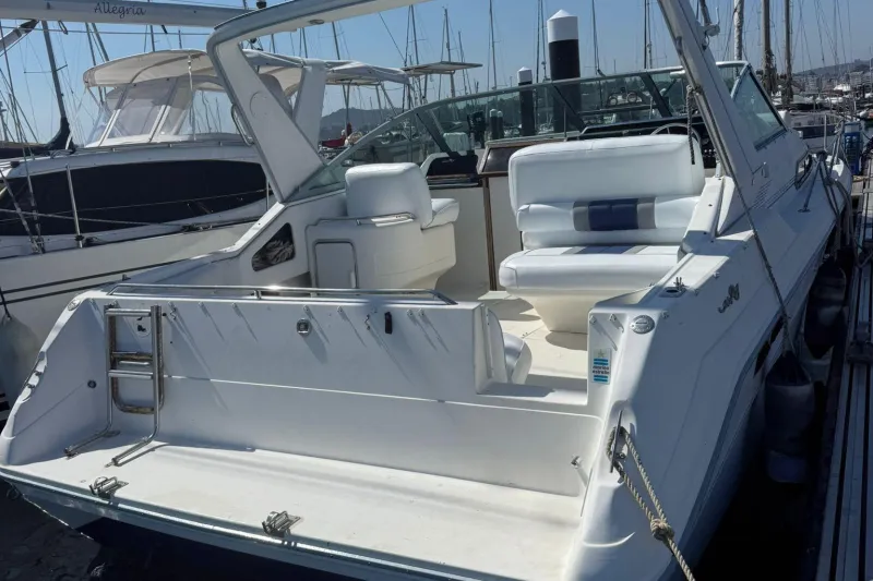 Sea Ray Sundancer 310 1991