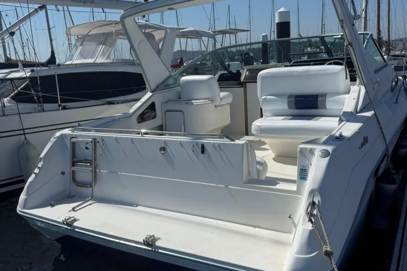 Sea Ray Sundancer 310 1991