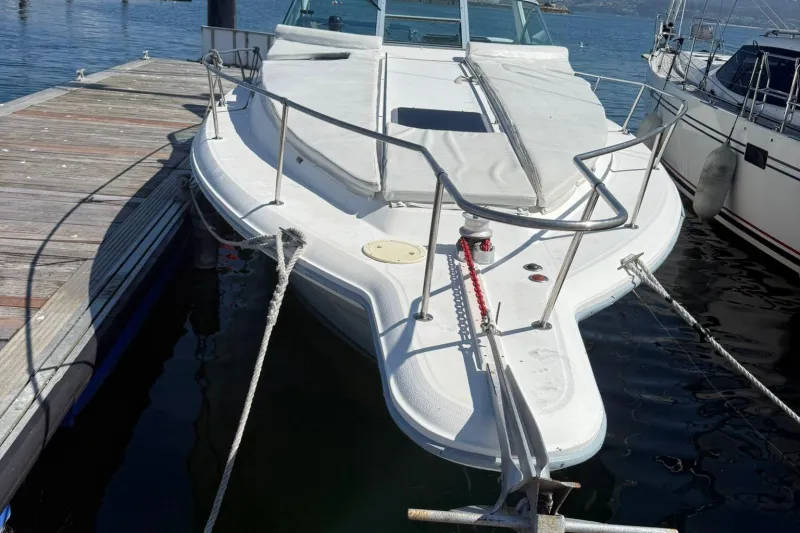 Sea Ray Sundancer 310 1991