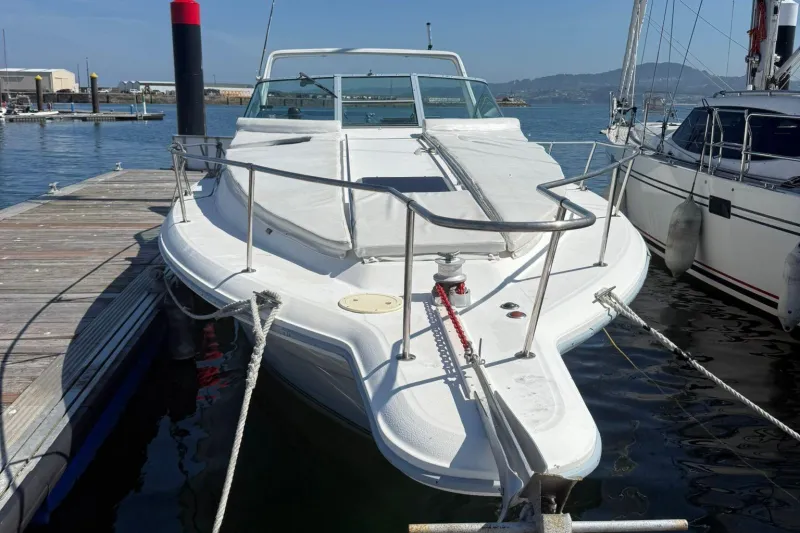 Sea Ray Sundancer 310 1991
