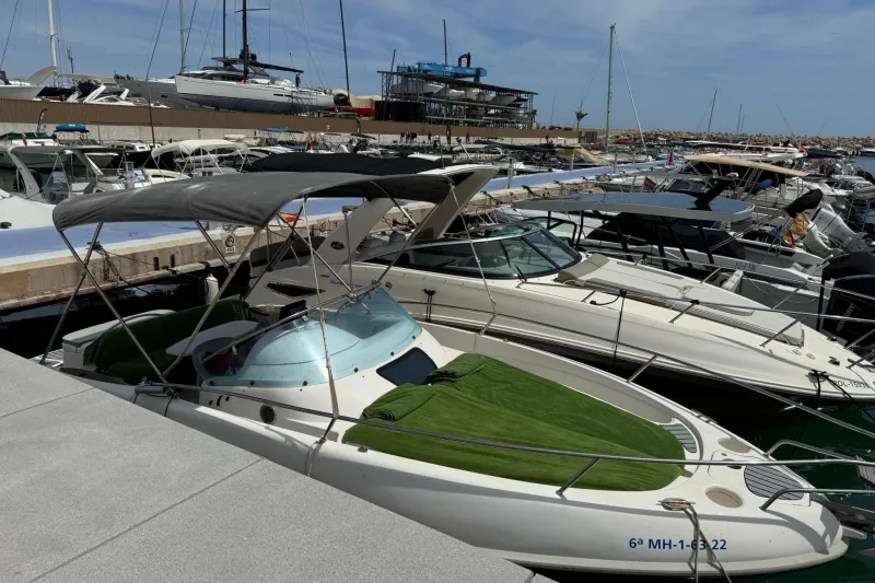 RIO 750 Day Cruiser 2006