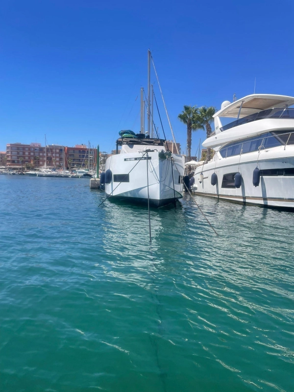 De Antonio Yachts D50 open 2025