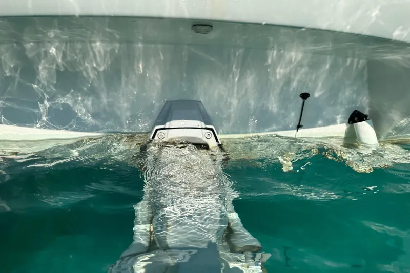 Sessa Marine S26 2008