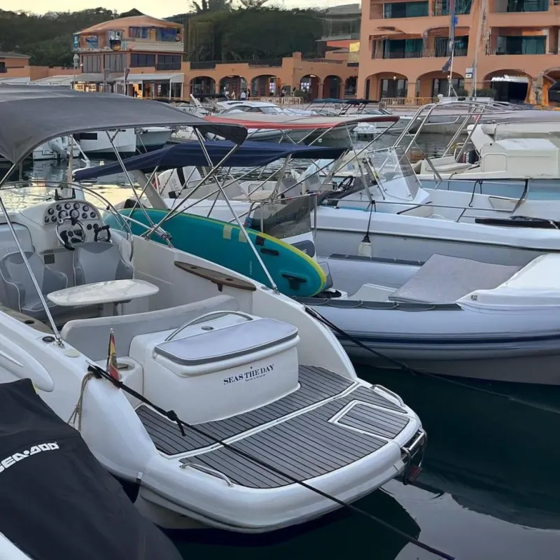 RIO 750 Day Cruiser 2006