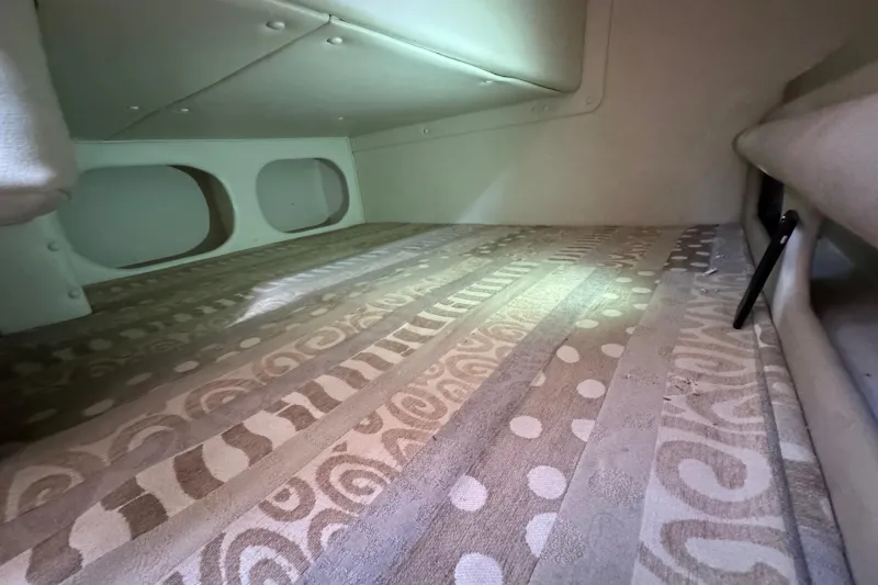 Rinker Fiesta Vee 250 2005