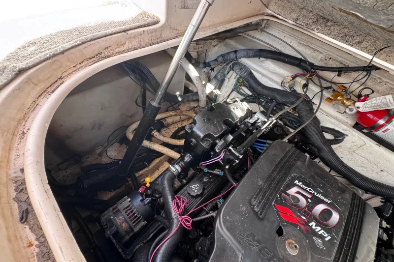 Rinker Fiesta Vee 250 2005