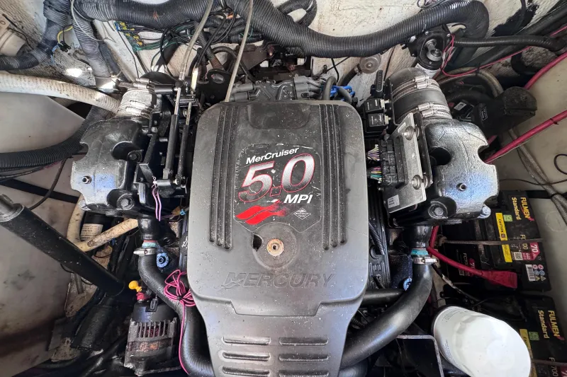 Rinker Fiesta Vee 250 2005