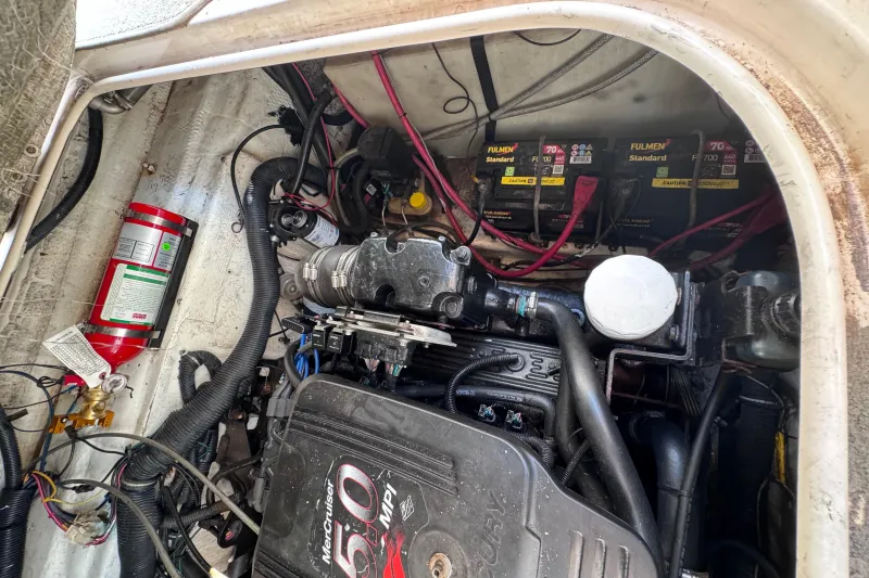 Rinker Fiesta Vee 250 2005