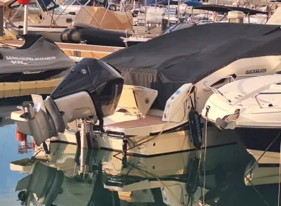 Foto del barco Quicksilver QUICKSILVER ACTIV 805 C 2023