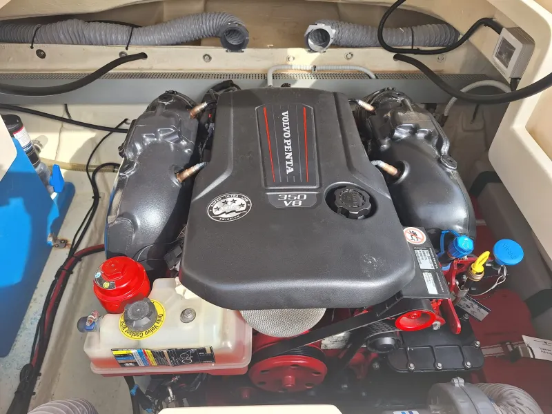 Invictus  INVICTUS 280 CX 2019