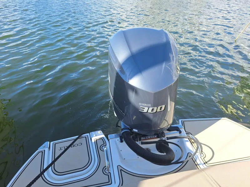 Cobalt Boats COBALT 23 SC 2021