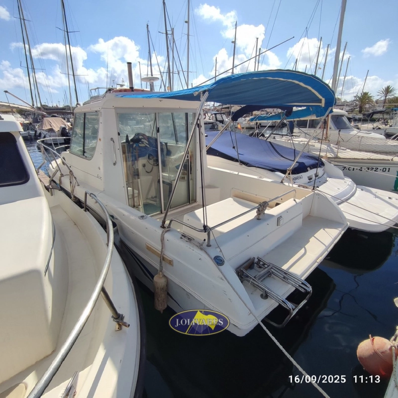 Saver Fisher 23 2002