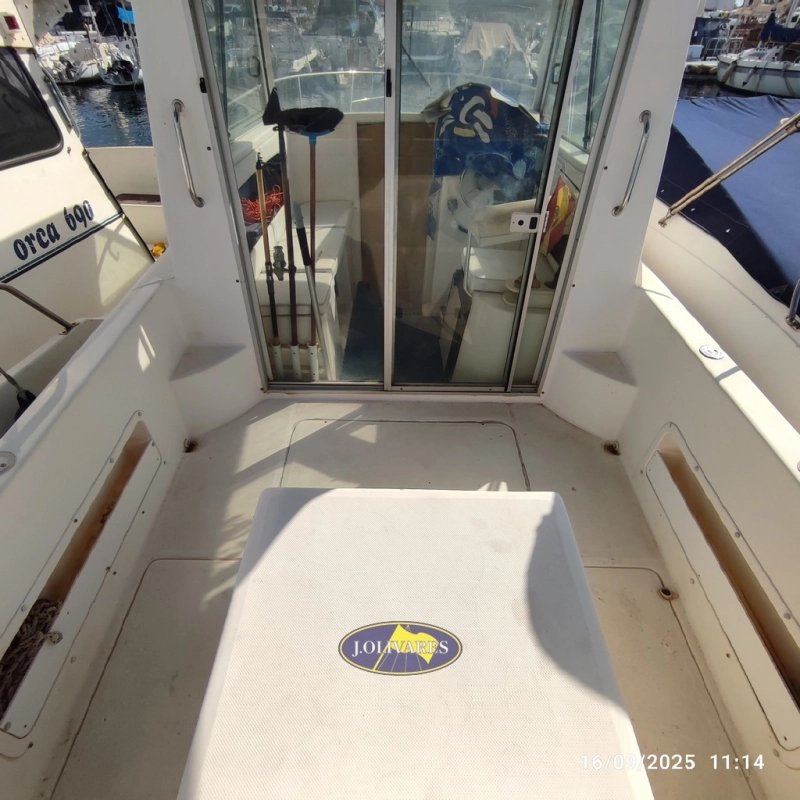 Saver Fisher 23 2002