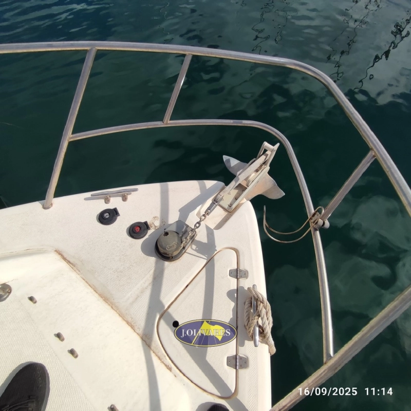 Saver Fisher 23 2002