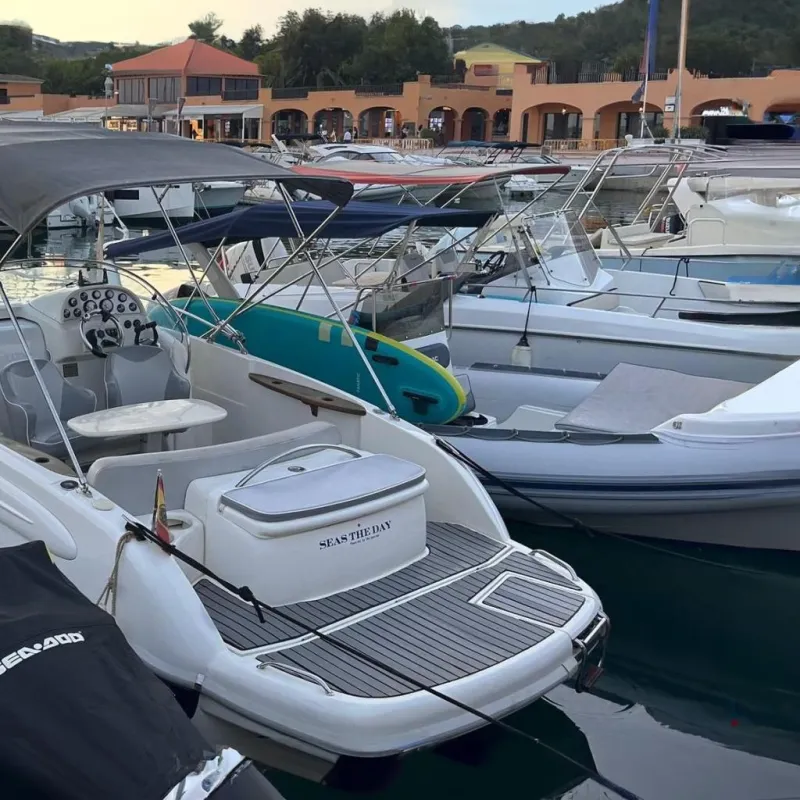 RIO 750 Day Cruiser 2006